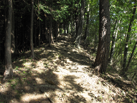 20151014hike (205)